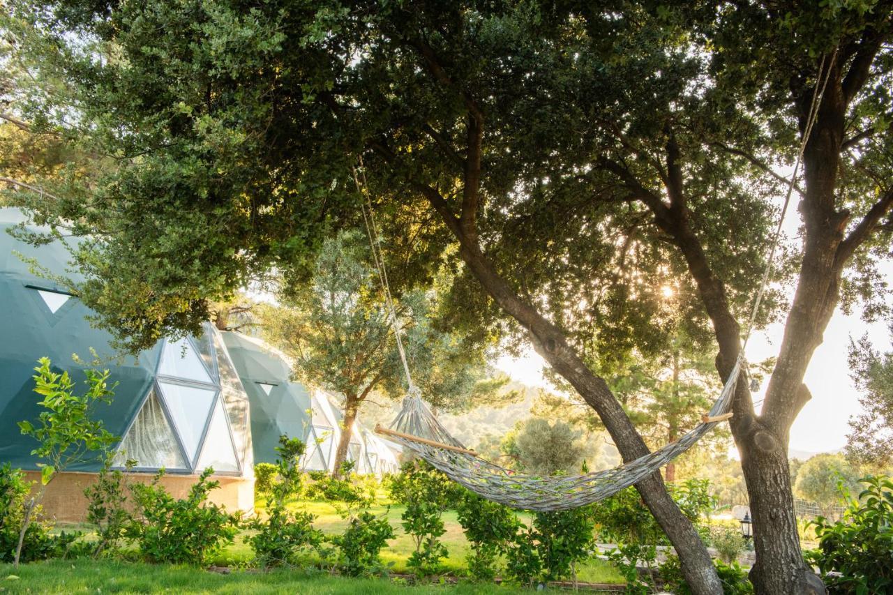 Lusso Glamping Bodrum Hotel Ngoại thất bức ảnh