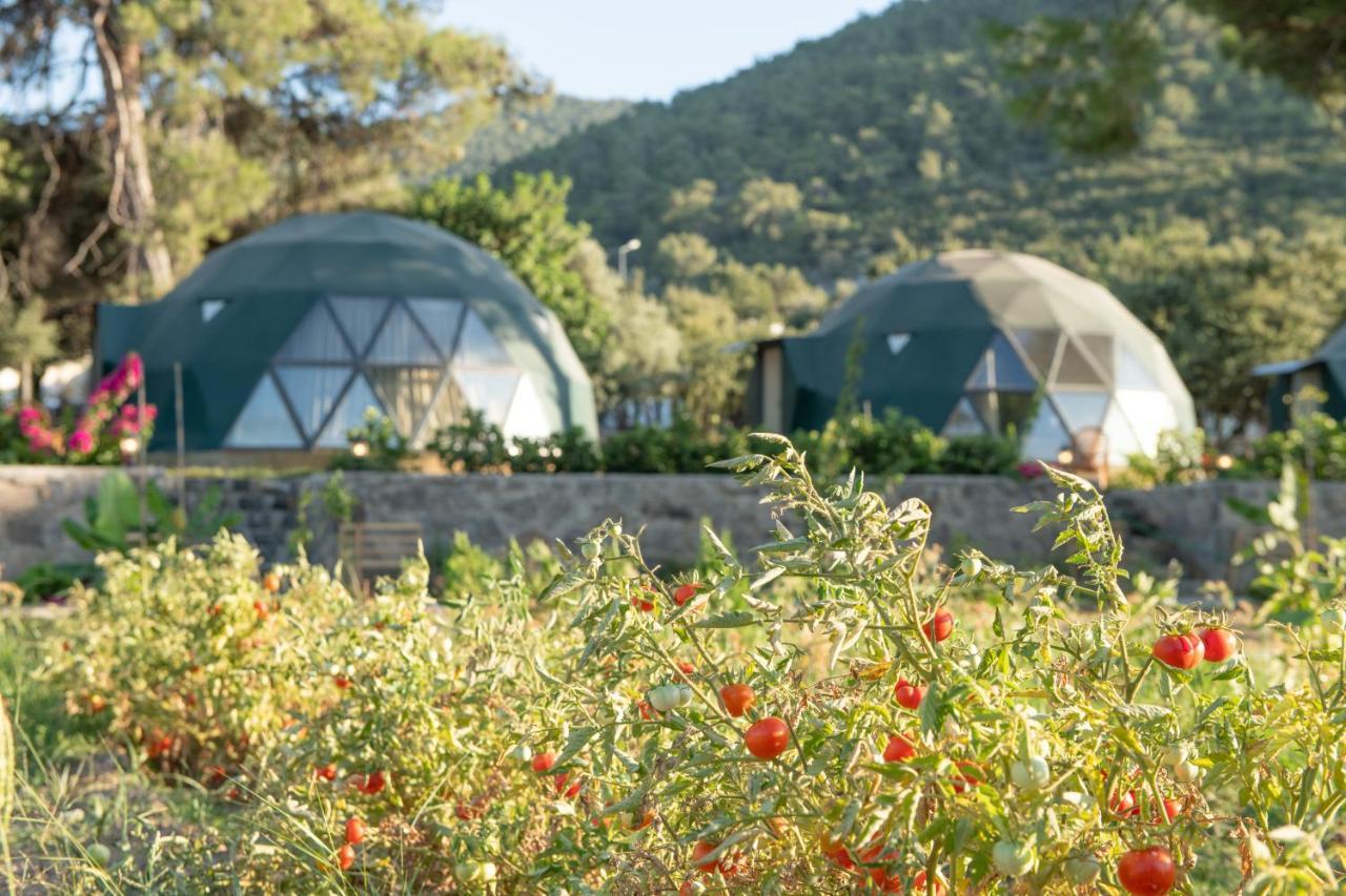 Lusso Glamping Bodrum Hotel Ngoại thất bức ảnh